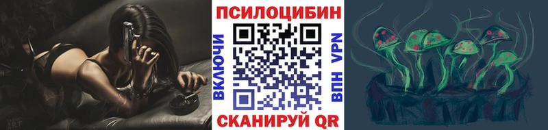 Купить где Борисоглебск Псилоцибиновые грибы Magic Shrooms